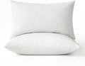 MIULEE Pillows Queen Size Set of 2 Down Feather Throw Pillows by MIULEE