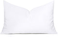 MIULEE Throw Pillow Insert Premium Pillow Stuffer Sham Rectangle by MIULEE