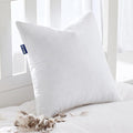MIULEE Feather Pillow Insert 20x20, Decorative Down Throw Pillow Insert Fluffy by MIULEE