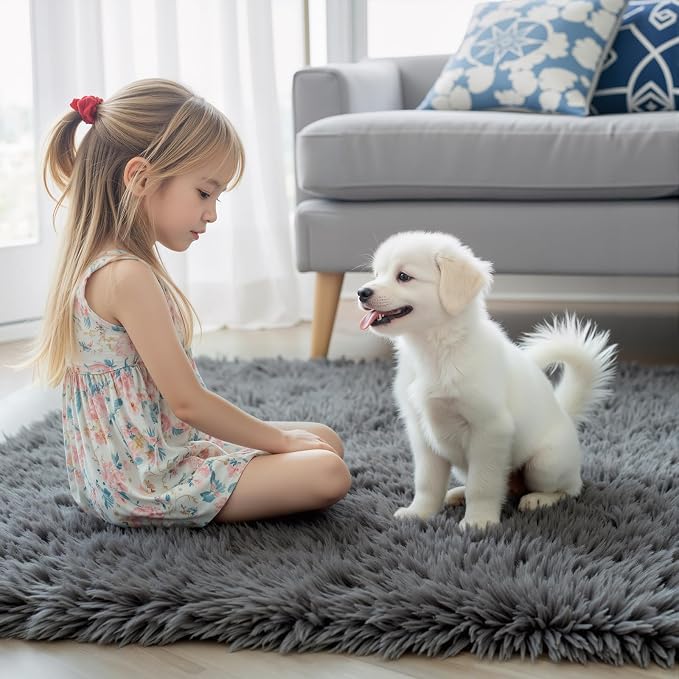 Rugs for Living Room 5x8, Alfombras para Salas Shag Large Plush Soft Area Rug - Image 2