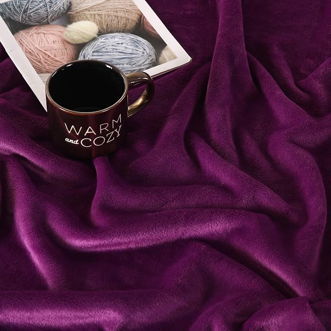 TASTHROW Large Flannel Fleece Throw Blanket, 60×80 Inch - Image 2
