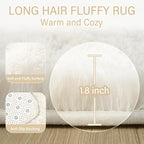 Amearea Premium Soft Fluffy Area Rug Modern Shag Carpet, 3x5 Feet, Fuzzy Shaggy - Image 4