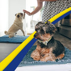 Muddy Mat® | Super Absorbent Door Mat Indoor, Microfiber Quick Dry Chenille - Image 6