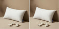 MIULEE Pillow Insert 12x20 Inch, Decorative Rectangle Throw Pillow Insert by MIULEE
