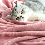 TASTHROW Large Flannel Fleece Throw Blanket, 50×70 Inch - Image 5