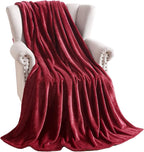TASTHROW Large Flannel Fleece Throw Blanket, 60×80 Inch - Image 3