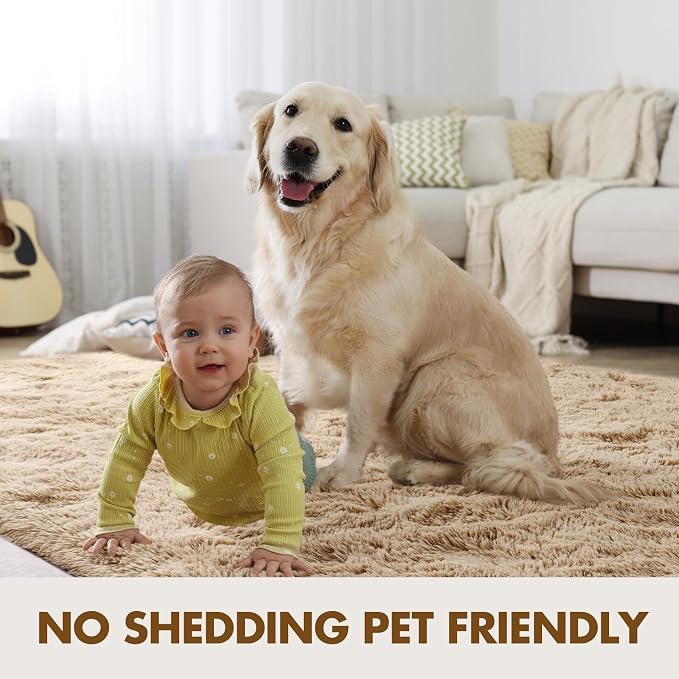 6x9 Ft Large Shag Beige Rugs for Living Room Bedroom, Ultra Soft Fluffy Furry - Image 6