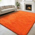 Shag Area Rug for Bedroom 4x6, Soft Fuzzy Rug Non-Shedding Indoor Plush Carpet by yulidayang
