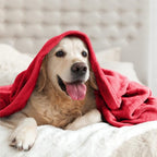 BEDELITE Fleece Blanket King Size Blankets - Image 9