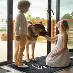 BeneathYourFeet Door Mat Welcome Mat Low Profile Front Doormat Indoor Outdoor - Image 2