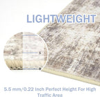 IOHOUZE Abstract Area Rugs 5x7 Ft Washable Rugs - Image 5