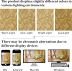 Lecloud Leia Dark Gold Sheer Kitchen Curtains 36 Inch Length, Breathable Clip - Image 5