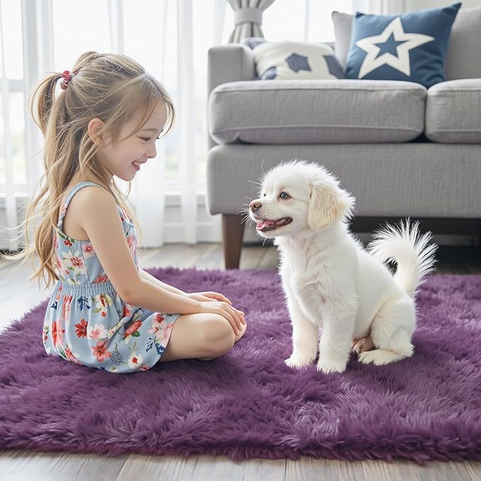 Rugs for Bedroom 4x6, Alfombras para Salas Shag Large Plush Soft Area Rug - Image 2