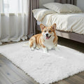 Small Rugs for Bedroom 2x3 Fluffy, Soft Fuzzy Area Rug for Living Room Dorm by Junhejiamei