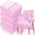 4 Pack Fleece Throw Blankets 50x60 Inches by Tewloss