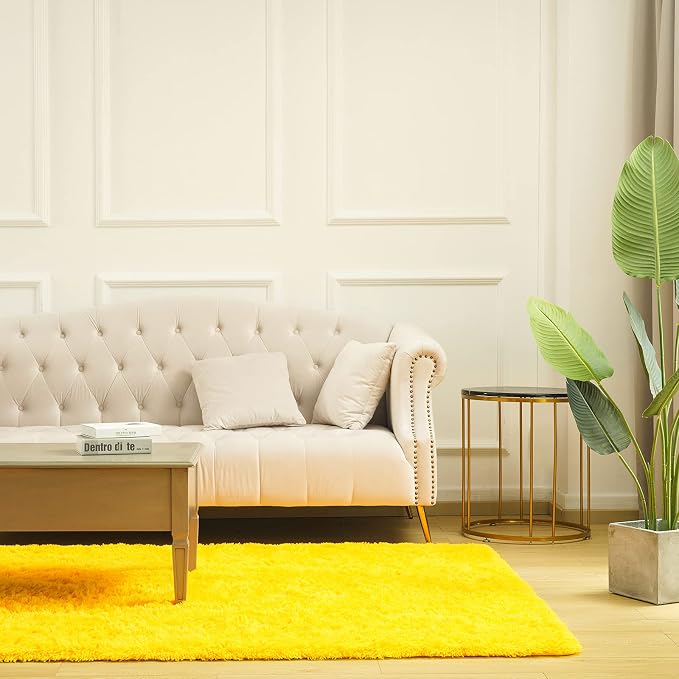 Amearea Premium Soft Fluffy Area Rug Modern Shag Carpet, Fuzzy Plush Rugs - Image 6