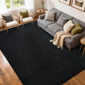 FinRèc 5x7 Washable Area Rugs for Bedroom Living Room, Low Pile Thin Rug Solid by FinRe%CC%80cHome