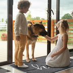 BeneathYourFeet Door Mat, Welcome Mat Low Profile Front Doormat Non Slip Mats - Image 2