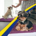 Muddy Mat® | Super Absorbent Door Mat Indoor, Microfiber Quick Dry Chenille - Image 5