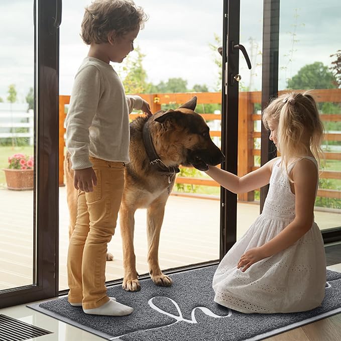 BeneathYourFeet Door Mat Welcome Mat Low Profile Front Doormat Indoor Outdoor - Image 2