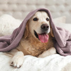 BEDELITE Fleece Blanket Twin Size Dusky Violet Throw Blankets - Image 7