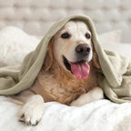 BEDELITE Fleece Blanket Twin Size Oat Linen Throw Blankets - Image 7