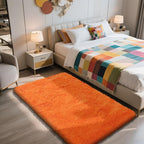 Shag Area Rug for Bedroom 3x5, Soft Fuzzy Rug Non-Shedding Indoor Plush Carpet by yulidayang