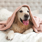 BEDELITE Fleece Blankets Queen Size Pink Morn Throw Blankets - Image 8