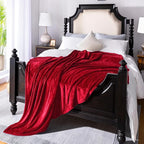 JIAHANNHA Red Throw Blanket Decorations Thin Fleece Blanket 50"x60", Super Soft - Image 3