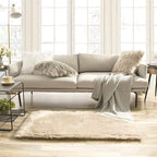 Ashler faux fur rug, Fluffy Shaggy Area Rug Ultra Soft 2.2 x 4 Feet Rectangle by AshlerHomeDeco