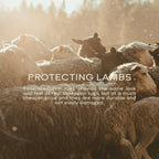 Ashler Faux Fur Rug - Image 7