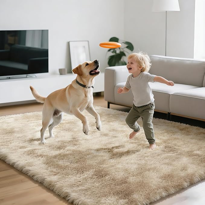 Shag Area Rugs for Bedroom Living Room, 5X8 Ultra Soft Fluffy Area Rugs for Dorm - Image 7