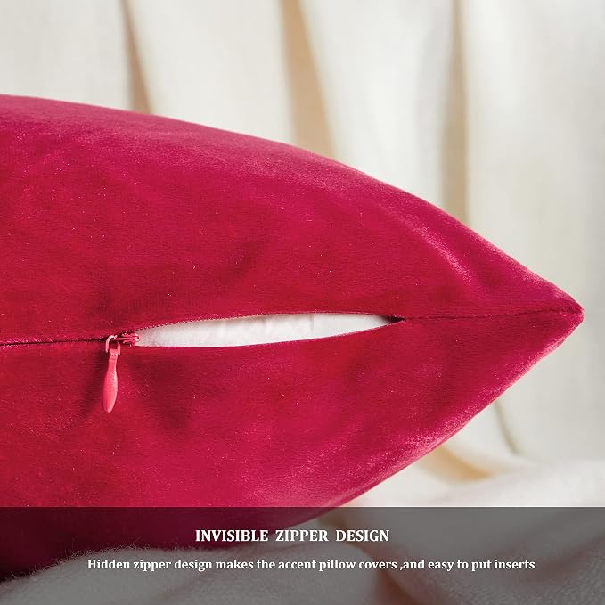 GIGIZAZA Decor Throw Couch Pillow Covers, Velvet Pillow Cases 24 x 24inch - Image 5