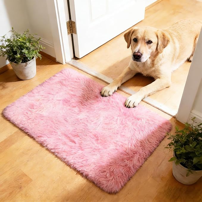 2x3 Fluffy Area Rugs for Bedroom Living Room, Small Soft Shag Fuzzy Rug by yulidayang