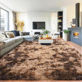 Pionblank 8x10 Rug for Living Room, Fuzzy Plush Large Area Rug Brown, Fluffy by PIONBLANK