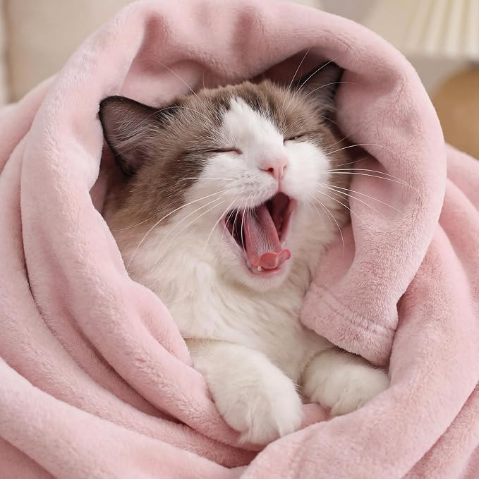 Bedsure GentleSoft Fleece Bed Blankets Full Size Pink - Image 3