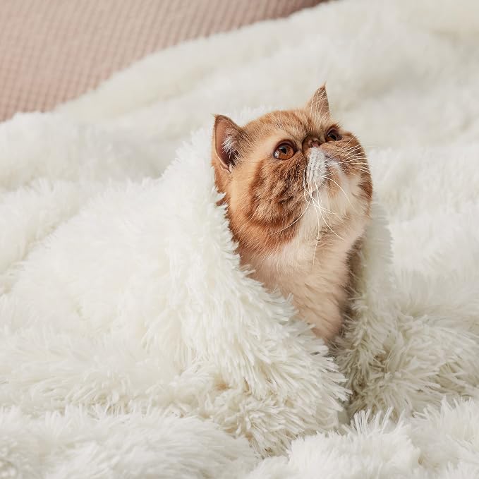 Bedsure GentleSoft Fuzzy Sherpa Faux Fur Twin Blanket Cream Cozy Gifts - Image 9