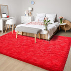 Chicrug Soft Area Rugs for Bedroom Living Room Plush Fluffy Rug 3x5 Feet - Image 8