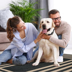 Lahome Enfys Modern Geometric Easy Jute Outdoor Rug, 5x7 Patio Living Room Rug - Image 6