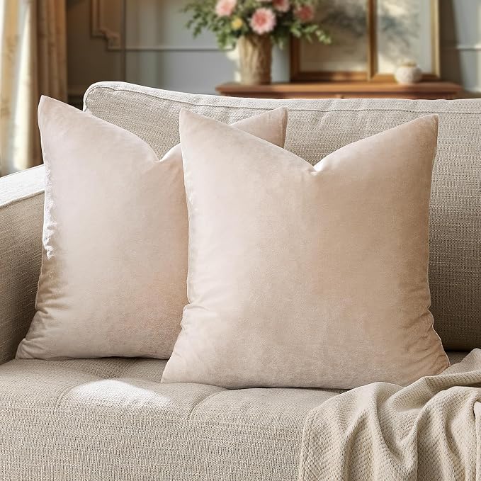 GIGIZAZA 16x16 Beige Pillow Covers: Pack of 2 Champagne Vintage Throw Pillows by GIGIZAZAFocusingonhomedecoration