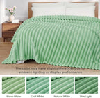 Exclusivo Mezcla Twin Size Flannel Fleece Blanket, Super Soft Striped Jacquard - Image 3