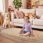 Pionblank Fluffy Area Rug for Bedroom 3.3'x6.2', Shag Oval Rug for Bedside - Image 2
