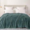 Exclusivo Mezcla Plush Fuzzy Fleece Bed Blanket Twin Size, Super Soft, Fluffy by ExclusivoMezcla