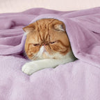 Bedsure GentleSoft Fleece Blankets King Size Lilac Lavender - Image 2