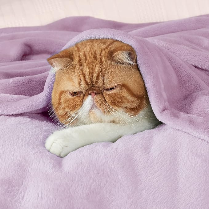 Bedsure GentleSoft Fleece Throw Blanket - Image 2