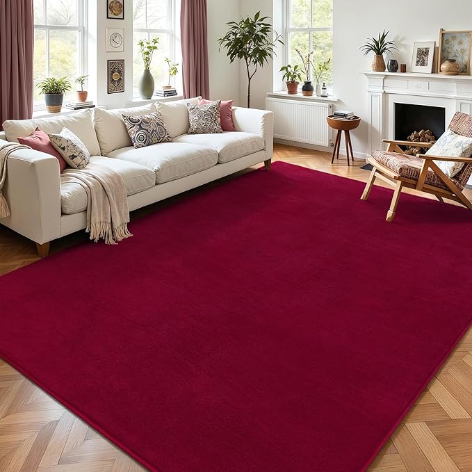 AROGAN Modern Shag Area Rug for Bedroom, 4x6 Feet Washable Rugs for Living Room by AROGANAREARUG