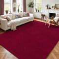 AROGAN Modern Shag Area Rug for Bedroom, 4x6 Feet Washable Rugs for Living Room by AROGANAREARUG