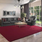 AROGAN Modern Shag Area Rug for Living Room, 5x7 Feet Washable Indoor Floor - Image 8