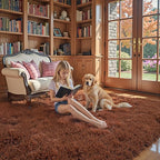 Rugs for Bedroom 4x6, Alfombras para Salas Shag Large Plush Soft Area Rug - Image 3