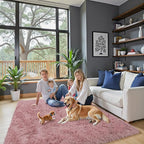 Rugs for Living Room 5x8, Alfombras para Salas Shag Large Plush Soft Area Rug - Image 2